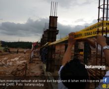 Politikus Golkar Sebut Peleburan BP Batam Langgar UU - JPNN.com