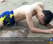 Auuwww Sakitnya, Anu Pria Ini Tersengat Ikan Pari - JPNN.com