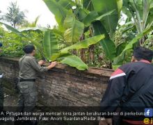 Warga Resah Ada Kera Besar Masuk Sekolah dan Merusak Rumah - JPNN.com