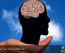 Ini 5 Cara Bikin Otak Anda Lebih Tajam - JPNN.com