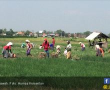 Modernisasi Pertanian Jadi Solusi Regenerasi Petani - JPNN.com