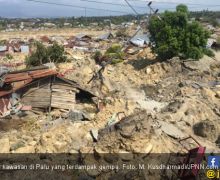 Malaysia Buatkan Bantuan Hunian Sementara untuk Korban Gempa Palu - JPNN.com