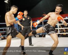 Petarung Daerah Berjaya di Muay Thai RTV 9 - JPNN.com