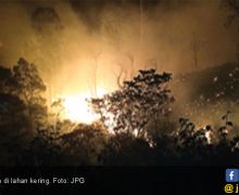 50 Hektare Lahan Kering Alang-Alang Terbakar - JPNN.com
