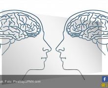 Stres di Pagi Hari Bisa Optimalkan Kinerja Otak? - JPNN.com