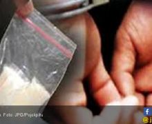 Kembali Berulah, Dua Residivis Narkoba Ditangkap - JPNN.com
