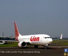 Brazil Jadi yang Pertama Nekat Izinkan Boeing 737 MAX Terbang Lagi - JPNN.com