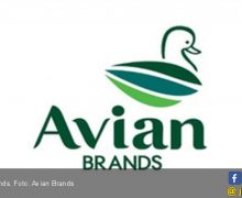 Avian Brands, Tawarkan 10 Persen Saham Melalui IPO - JPNN.com