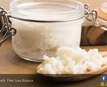 Kaya akan Probiotik, Ini 6 Khasiat Meminum Kefir - JPNN.com