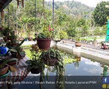 Cantiknya Batur Organic Park di Antara Tambang Galian C - JPNN.com