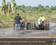 Pemprov Kalsel Siapkan 41.829 Hektare Untuk Optimalisasi Lahan Rawa - JPNN.com