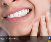 5 Bahan Alami Ini Bantu Atasi Sakit Gigi yang Mengganggu - JPNN.com