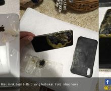 Baru Hitungan Minggu, iPhone XS Max Terbakar di Saku Celana - JPNN.com
