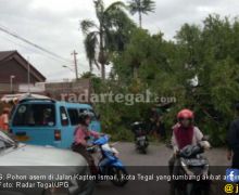 Sedang Naik Becak, Vanessa Ketiban Pohon Asem - JPNN.com