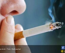 Perda Kawasan Tanpa Rokok Berpeluang Direvisi - JPNN.com
