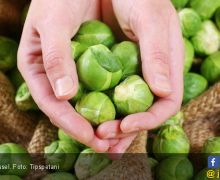 Jaga Kesehatan Ginjal dengan Mengonsumsi 4 Sayuran Sehat Ini - JPNN.com