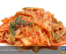 Cegah Kanker Lambung, Ini 3 Manfaat Menguntungkan Kimchi untuk Kesehatan - JPNN.com
