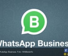 WhatsApp Business Menerima Banyak Pembaruan, Ada Fitur Panggilan - JPNN.com