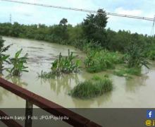 Banjir di Ngawi, Petani Merugi hingga Rp 33 Miliar - JPNN.com