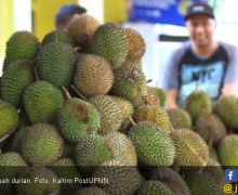 Durian Indonesia Siap Akhiri Dominasi Musang King Malaysia di Pasar Tiongkok - JPNN.com