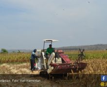 Petani: Program Food Estate Pak Presiden Jokowi Berhasil, Kami Merasa Puas - JPNN.com