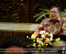 Menteri PPN : Isu Penyelamatan Danau Prioritas Berkaitan dengan Masa Depan - JPNN.com