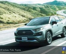 Toyota RAV4 Terbaru Kekutannya Diperluas, Berikut Harganya - JPNN.com