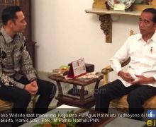 Pertemuan AHY dengan Jokowi untuk Minta Jabatan? - JPNN.com