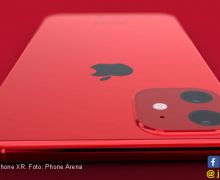 Apple Bakal Luncurkan Penerus iPhone XR dengan Baterai Lebih Besar - JPNN.com