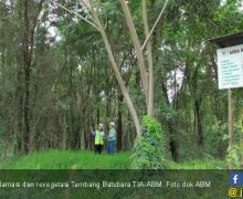 ABM Berhasil Reklamasi 68 persen Lahan Tambang Batubara di Kalimantan - JPNN.com