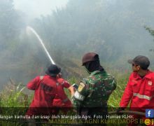 Antisipasi Karhutla di Riau Sudah Dilakukan Sejak Awal Kemarau - JPNN.com