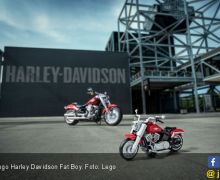 LEGO Meluncurkan Model Harley Davidson Fat Boy - JPNN.com