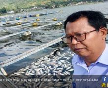 Akibat Semburan Belerang dari Danau, Ribuan Ikan Mati - JPNN.com