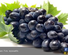 5 Khasiat Anggur Hitam yang Ampuh Lindungi Tubuh dari Penyakit Ganas Ini - JPNN.com