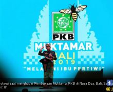 Muktamar Sukses, PKB Senang Pak Jokowi Gunakan Pakaian Hijau - JPNN.com
