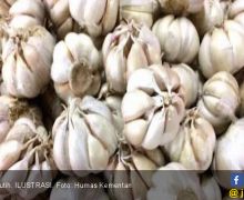 Benarkah Banyak Makan Bawang Putih Bisa Menurunkan Risiko Kanker Payudara? - JPNN.com