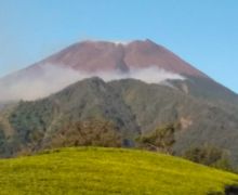 Kebakaran Hutan Berkobar di Lereng Barat Gunung Slamet - JPNN.com