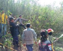 Ada Kepulan Asap Hitam dari Dalam Hutan, Untung Warga Cepat Beraksi - JPNN.com