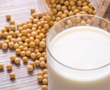 6 Manfaat Susu Kedelai, Bikin Kolesterol Ambyar - JPNN.com