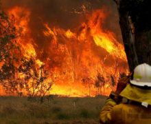 Polisi Australia Tangkap Ratusan Pembakar Hutan - JPNN.com