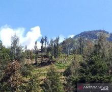 Dampak Karhutla, Gunung Merbabu Ditutup saat Malam Tahun Baru - JPNN.com