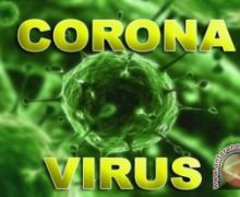 Turis Tiongkok Bawa Virus Corona Masuk ke Finlandia - JPNN.com