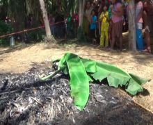 Seorang Perempuan Dibakar di Kebun Kelapa, Tak Ada yang Mengenali Jasadnya - JPNN.com