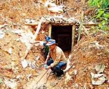 Bos Tambang Emas Ilegal di Gunung Halimun Salak Kabur - JPNN.com