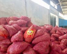 Bea Cukai Gagalkan Penyelundupan 18 Ton Bawang Merah Asal Thailand - JPNN.com