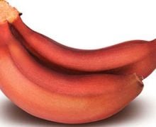 10 Manfaat Pisang Merah yang Luar Biasa - JPNN.com