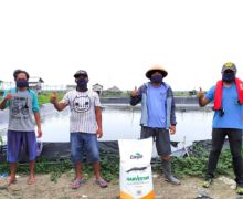 Kabar Baik untuk Petani Udang Indonesia, Ada Pakan Harvestar dari Cargill - JPNN.com