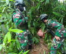 TNI Temukan Belasan Kardus di Dekat Patok Batas Negara, Pas Diperiksa, Isinya Ternyata - JPNN.com