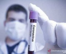 Waduh, Otoritas Tiongkok Temukan Virus Corona di Cumi-Cumi Impor - JPNN.com