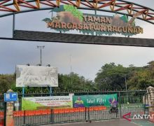 Libur Akhir Pekan, 7224 Orang Kunjungi Taman Margastwa Ragunan - JPNN.com